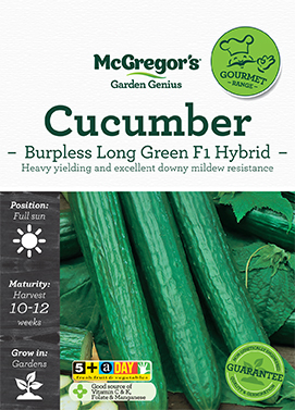 Cucumber Seed Burpless Long Green F1 Hybrid