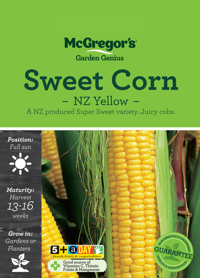 Sweet Corn NZ Yellow