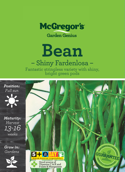 Bean Seed Shiny Fardenlosa