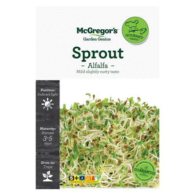 Sprout Alfalfa