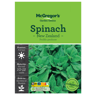 Spinach Seed Vegetable Seed