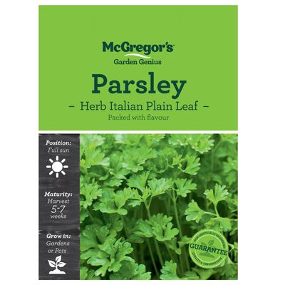 Parsley Herb Italian Plain Leaf