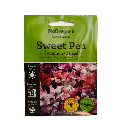 Sweet Pea Seed Symphony Mixed