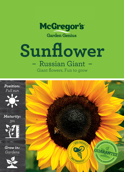 Sunflower Seed Russian Giant