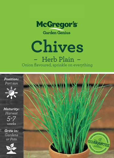 Chives Seed Herb Plain