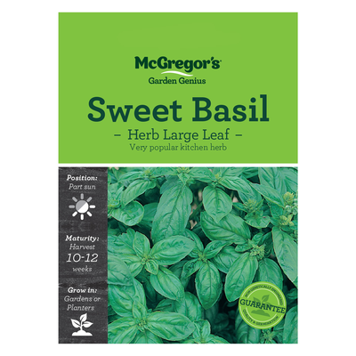Sweet Basil Herb Large Leaf