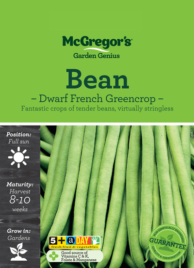 Bean Seed Dwarf French Greencrop