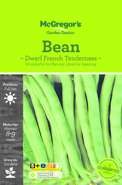 Bean Seed Dwarf French Tenderness