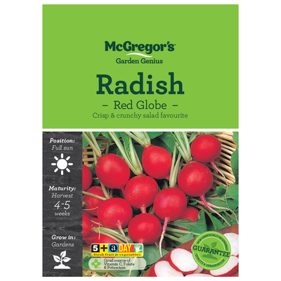 Radish Red Globe