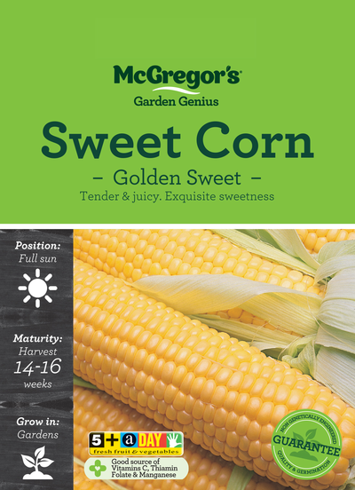 Sweet Corn Golden Sweet