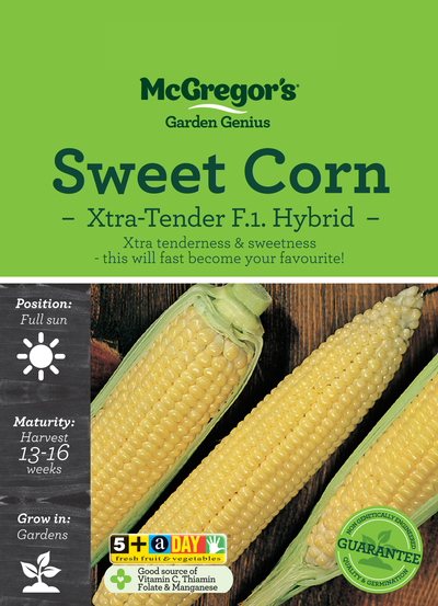 Sweet Corn Xtra-Tender F.1. Hybrid