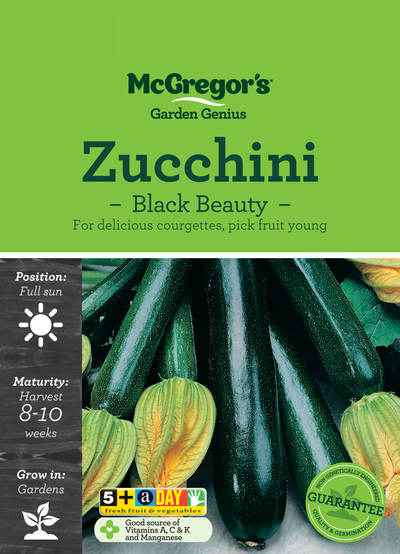 Zucchini Black Beauty
