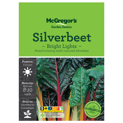 Silverbeet Bright Lights