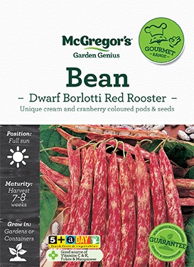 Bean Seed Dwarf Borlotti Red Rooster