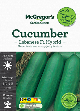 Cucumber Seed Lebanese F1 Hybrid