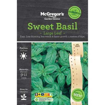 Sweet Basil Large Leaf