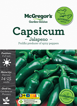 Capsicum Seed Jalapeno