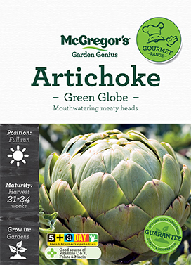 Artichoke Green Globe