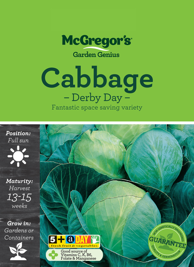 Cabbage Seed Derby Day