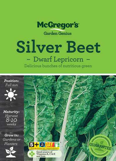 Silver Beet Seed Dwarf Lepricorn