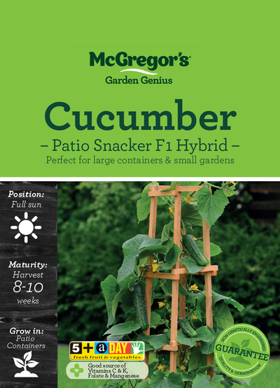 Cucumber Patio Snacker