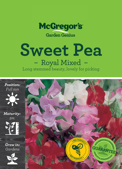 Sweet Pea Seed Royal Mixed