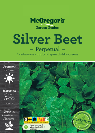 Silverbeet Perpetual