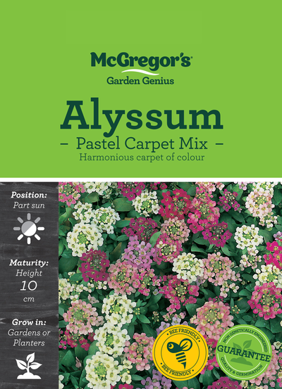 Alyssum Pastel Carpet Mix