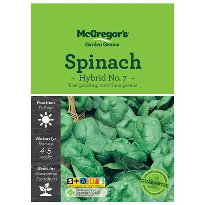 Spinach Hybrid No. 7