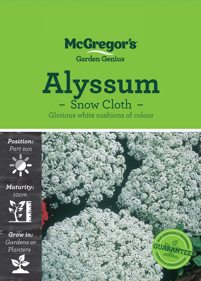 Alyssum seed - Snow Cloth