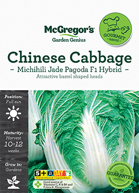 Chinese Cabbage Seed Michihili Jade Pagoda F1 Hybrid
