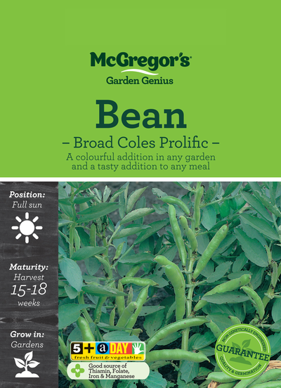 Bean Seed Broad Coles Prolific