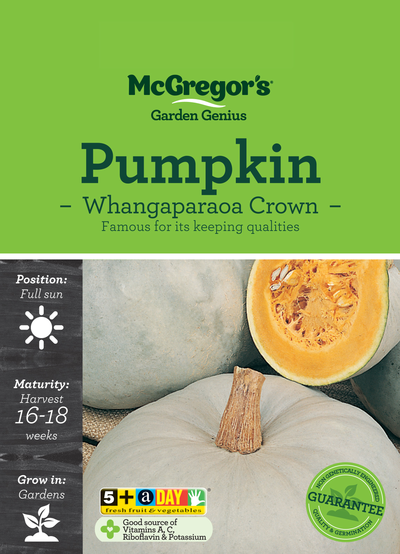Pumpkin Whangaparoa Crown