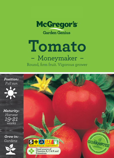 Tomato Moneymaker