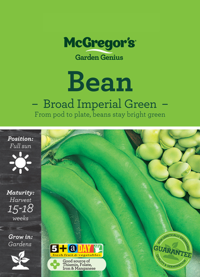 Bean Seed Broad Imperial Green