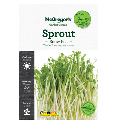 Sprout Snow Pea