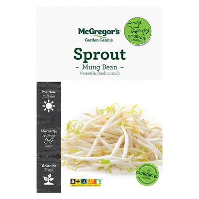 Sprout Mung Bean