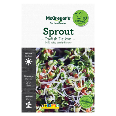 Sprout Radish Daikon