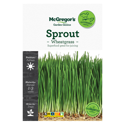 Sprout Wheatgrass