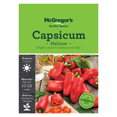 Capsicum Melrose