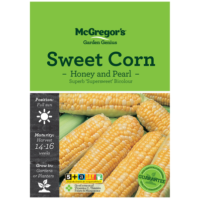 Sweet Corn Honey and Pearl