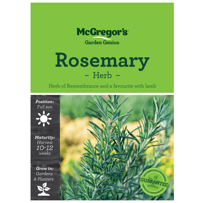 Rosemary Herb