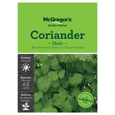 Coriander