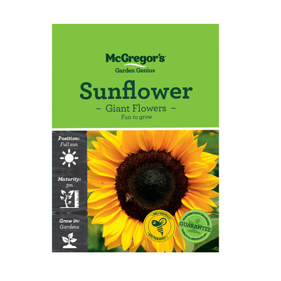 Sunflower Seed Giant Flowers